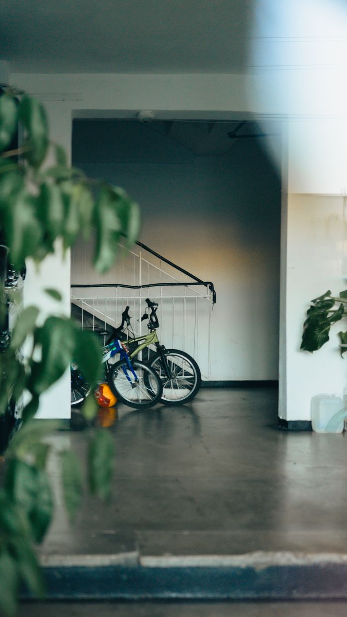 Indoor space with bicycles and greenery creates a cozy ambiance.